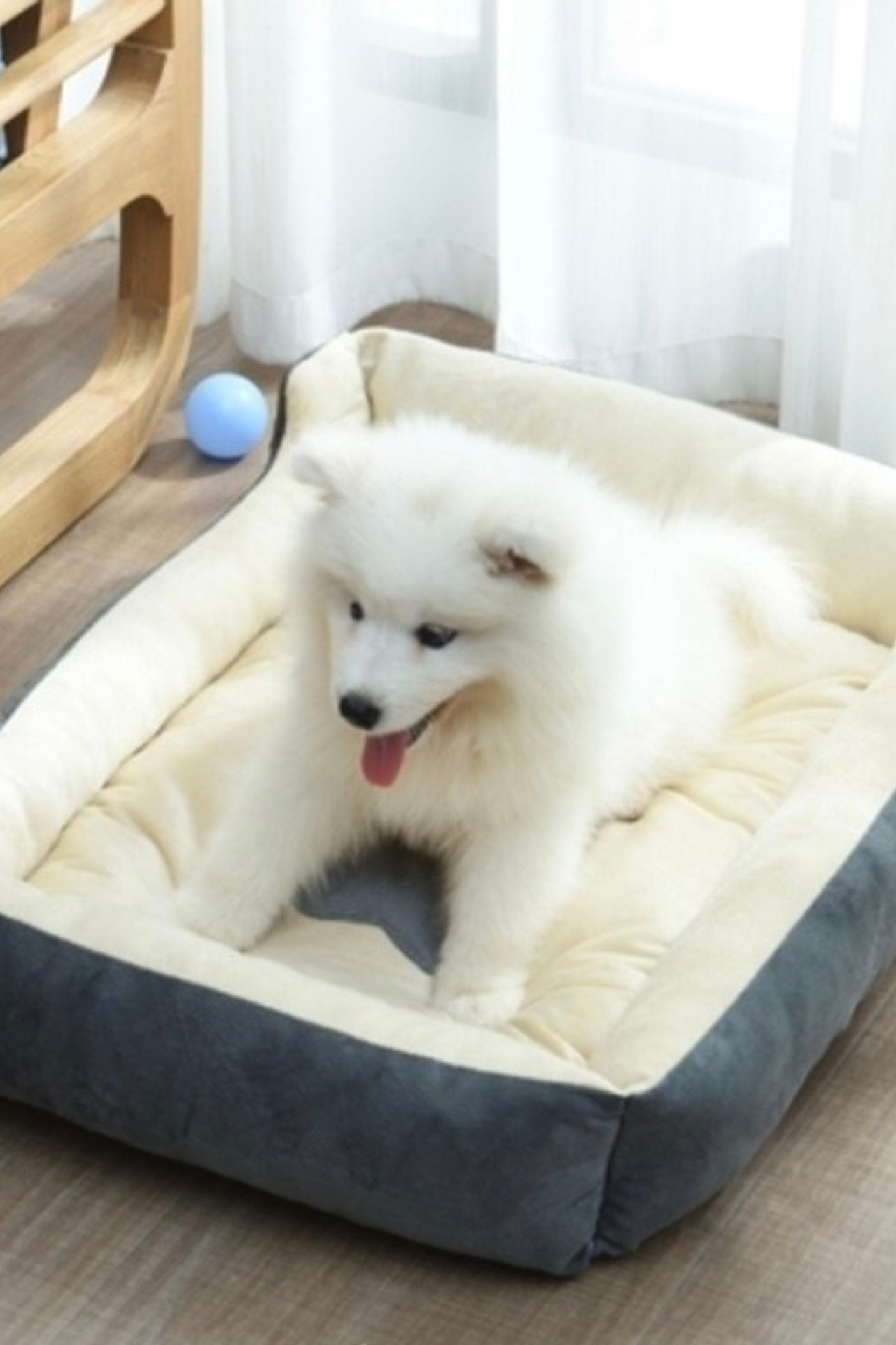 Эстетичная съемка лежанок для кошек и собак