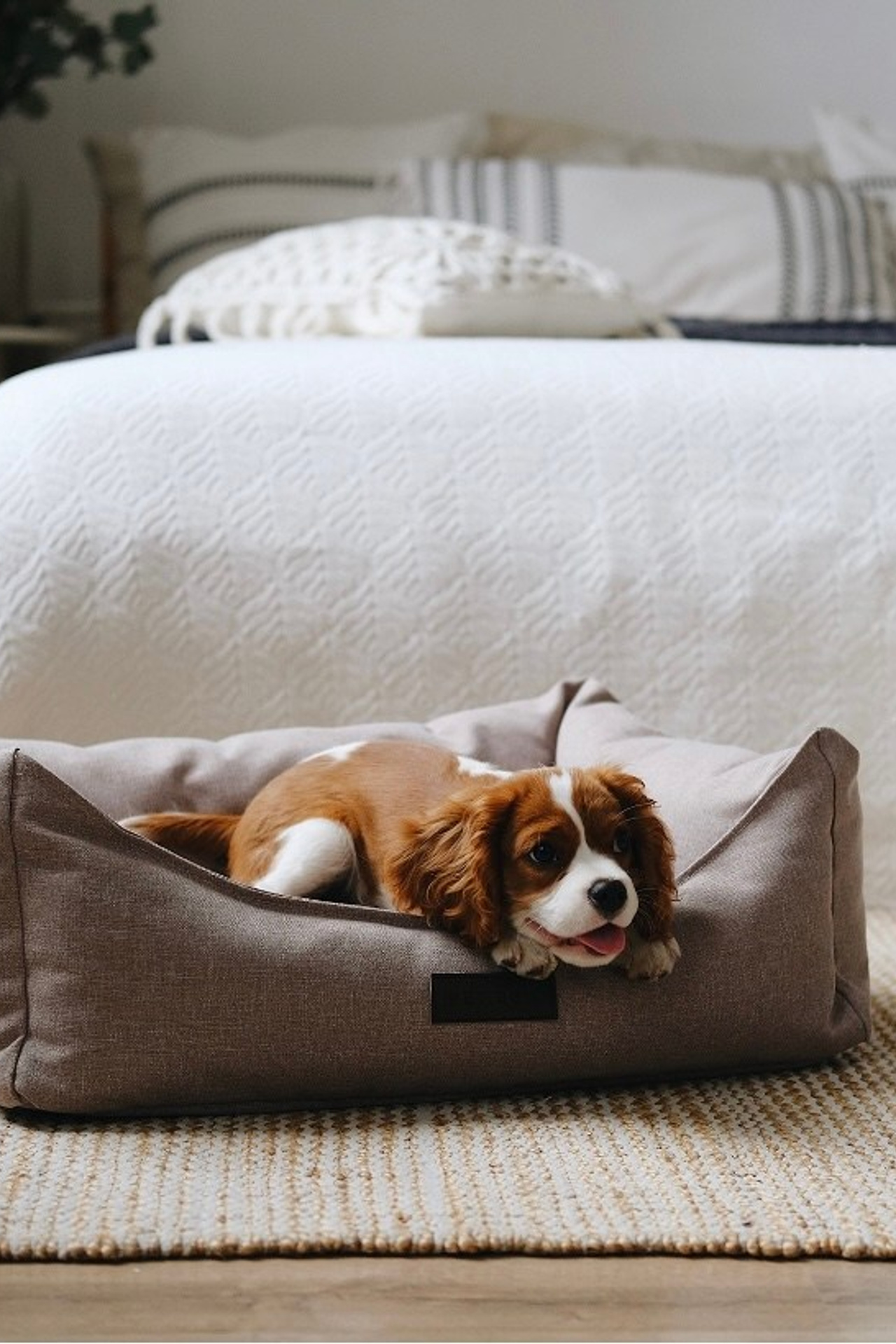 Качественная фотосъемка для демонстрации удобства лежанок