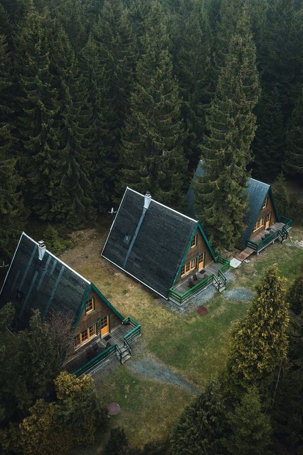 Портфолио для тендеров Манжерок|Sale Easy