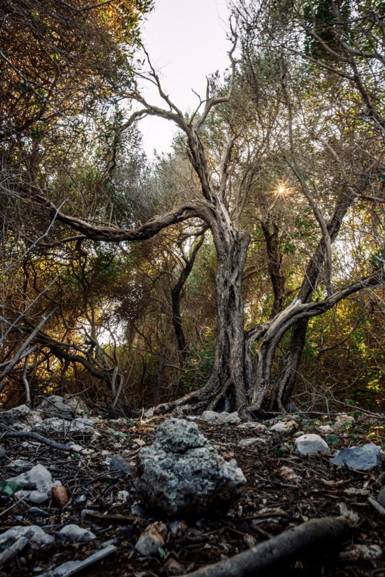 Фотограф Александр Шалагин