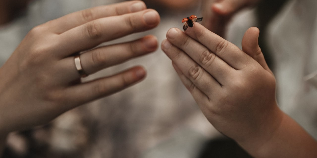 Фотограф Ростов Донецк Алина Божко