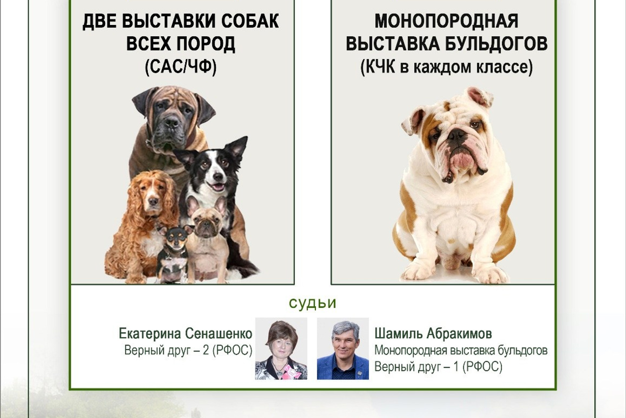 Истории и анонсы. Фотограф-анималист Михаил Манухин