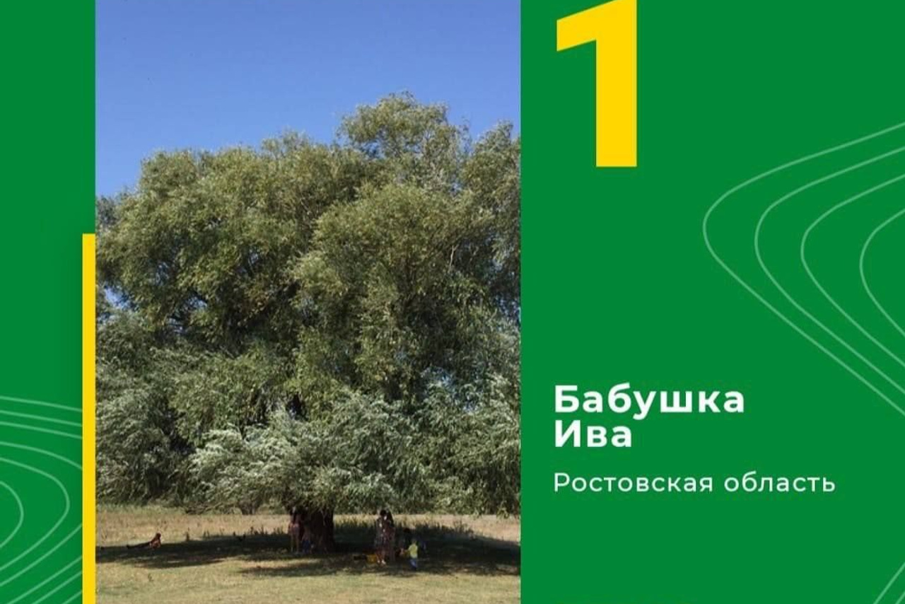 АНО «Центра социальных проектов «Путь в большой мир»