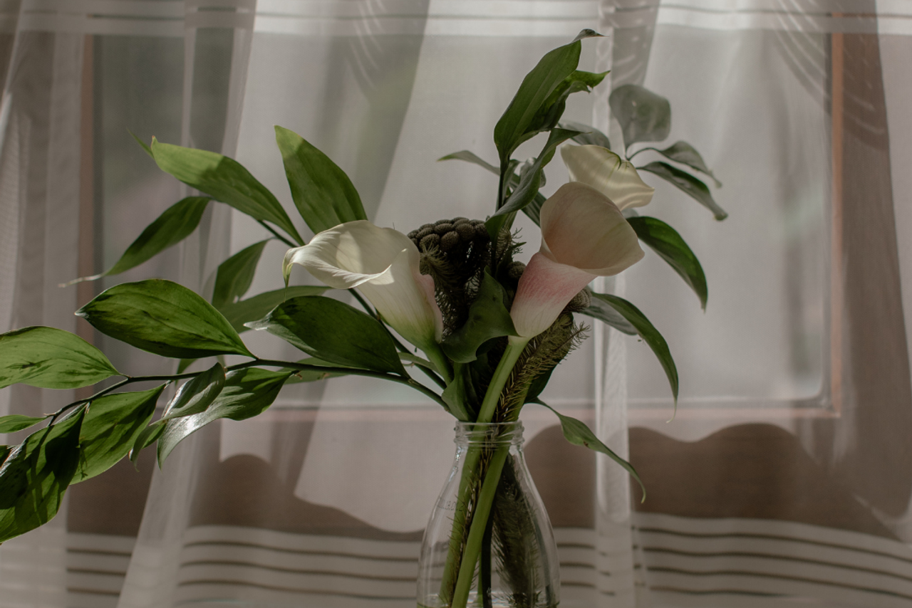 ОДОЛЖИ мои КРЫЛЬЯ