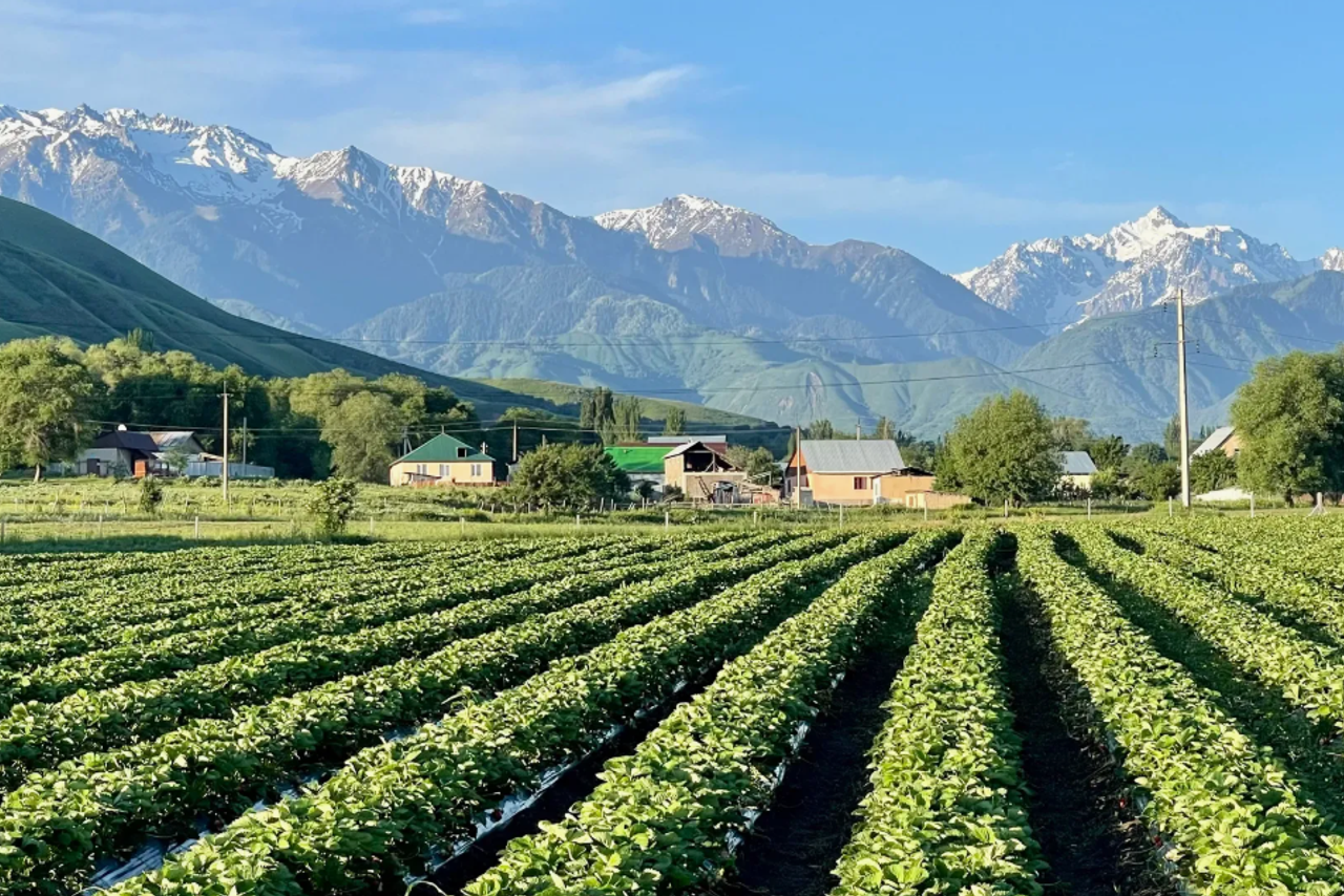 Проекты. Инвестиционный консалтинг Недвижимость