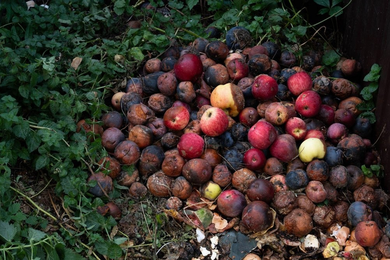 Вещизм. Могилевцева Дарья фотограф междисциплинарный художник