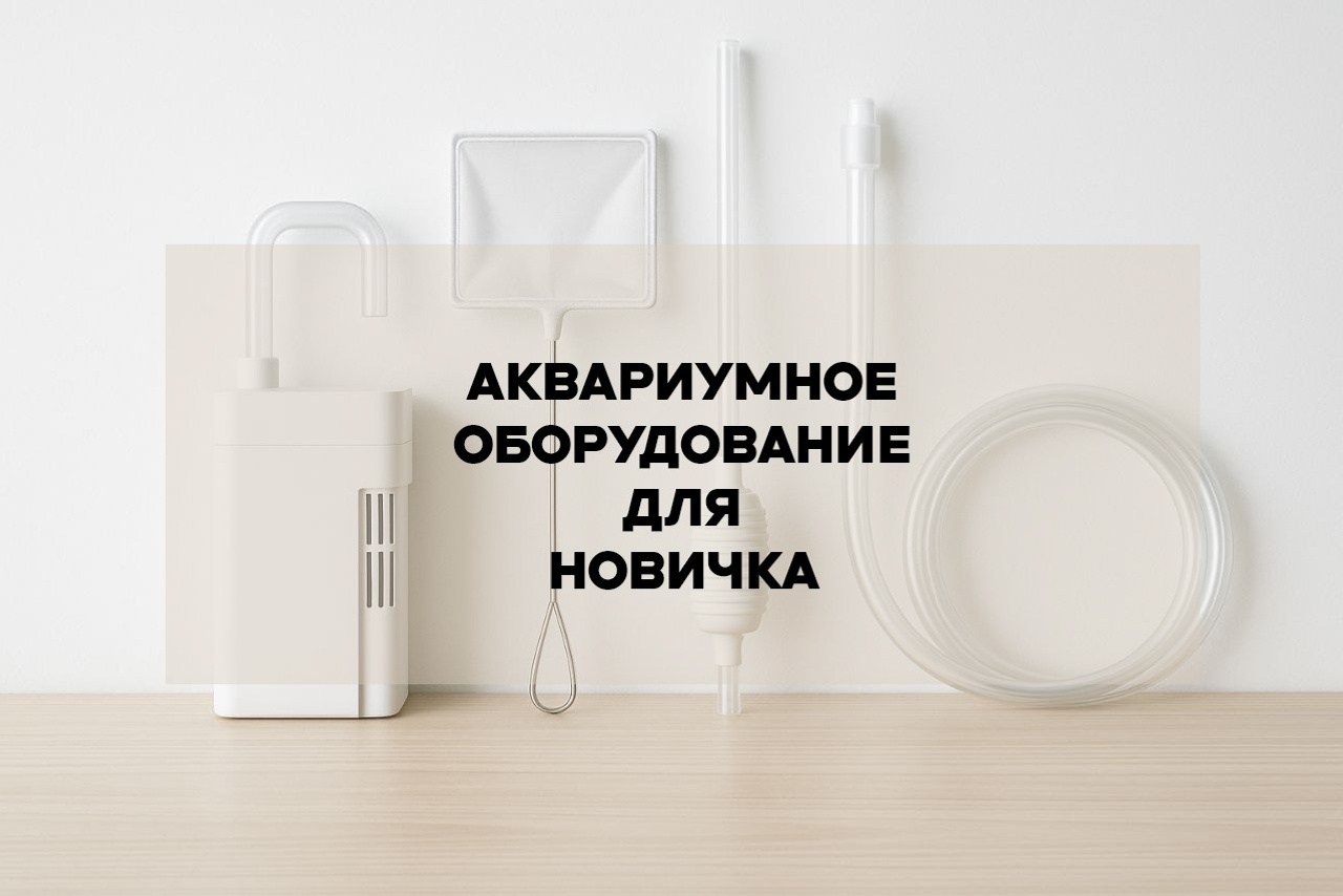 Free articles. Home