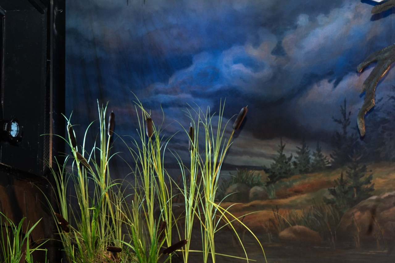 «Гроза» театральное объединение «Озеро». История занавеса. Превращаем идею в технологию