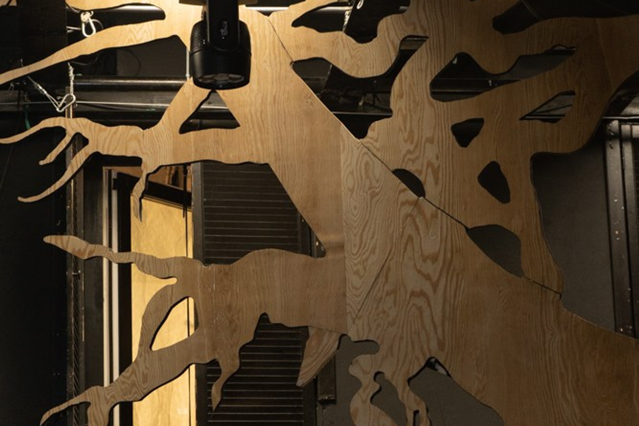 «Гроза» театральное объединение «Озеро». История занавеса. Превращаем идею в технологию