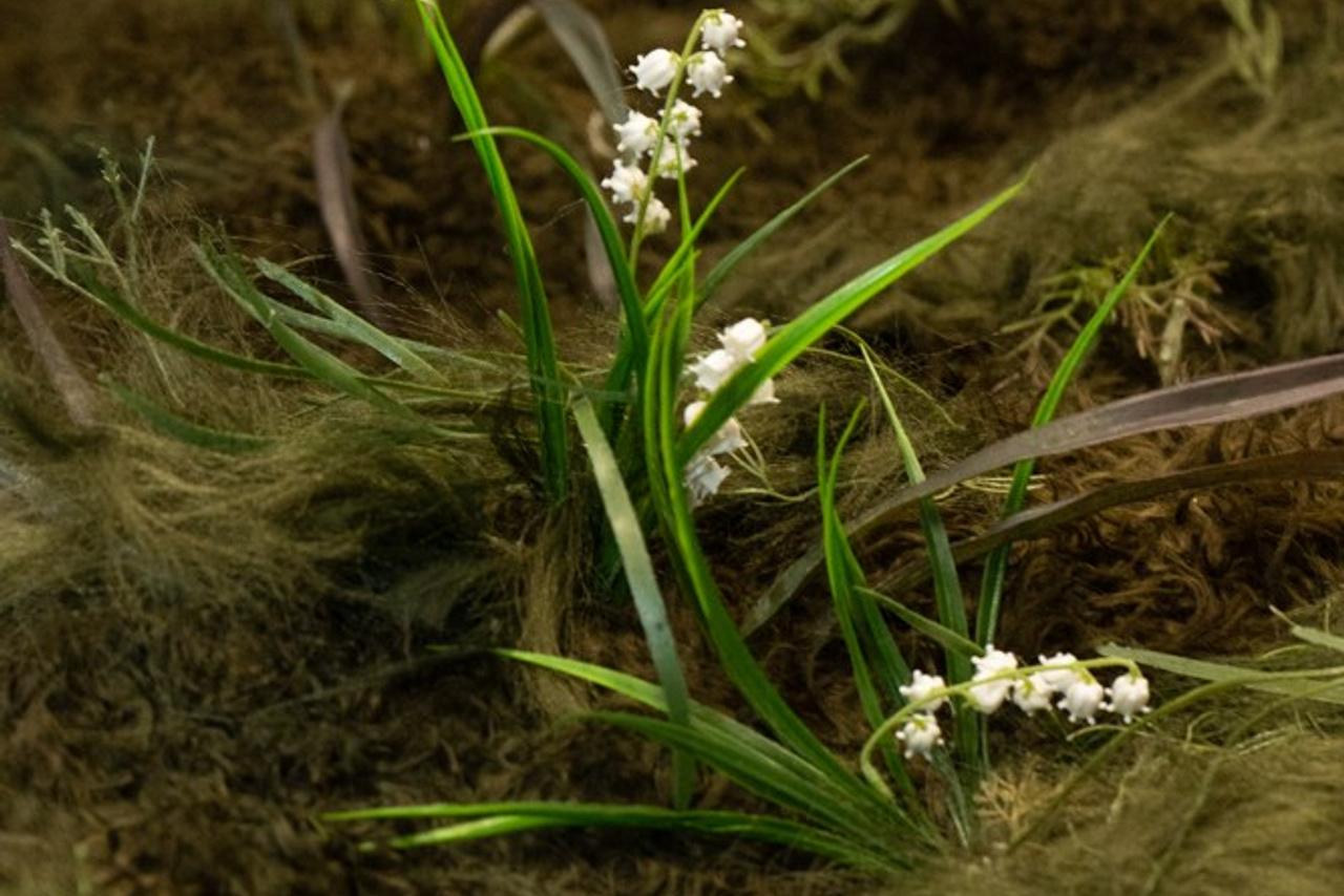 «Гроза» театральное объединение «Озеро». История занавеса. Превращаем идею в технологию