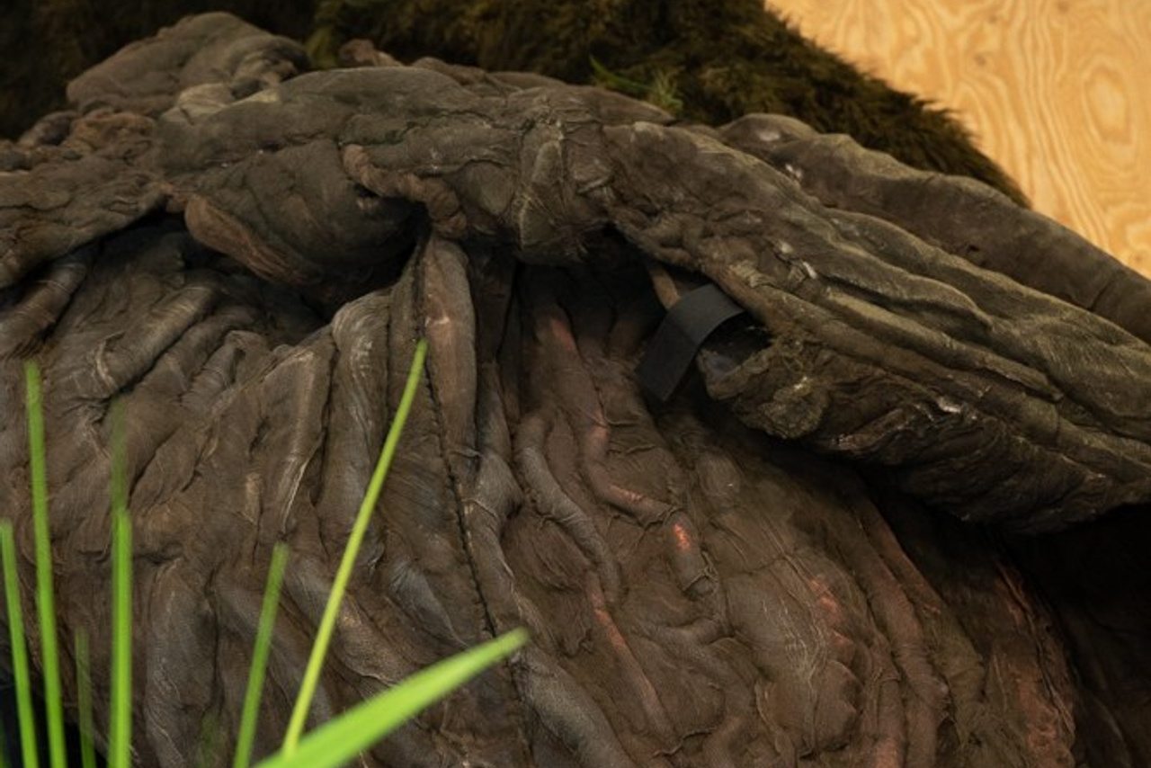 «Гроза» театральное объединение «Озеро». История занавеса. Превращаем идею в технологию