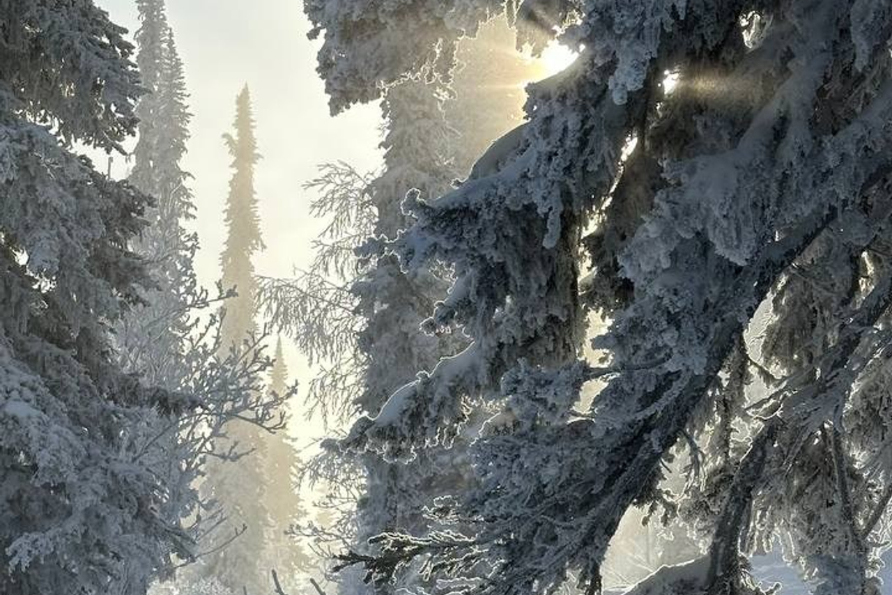 Эльбрус и Чегет (Кабардино-Балкария, Кавказ). Организация активного отдыха. Горнолыжные туры. Сплавы