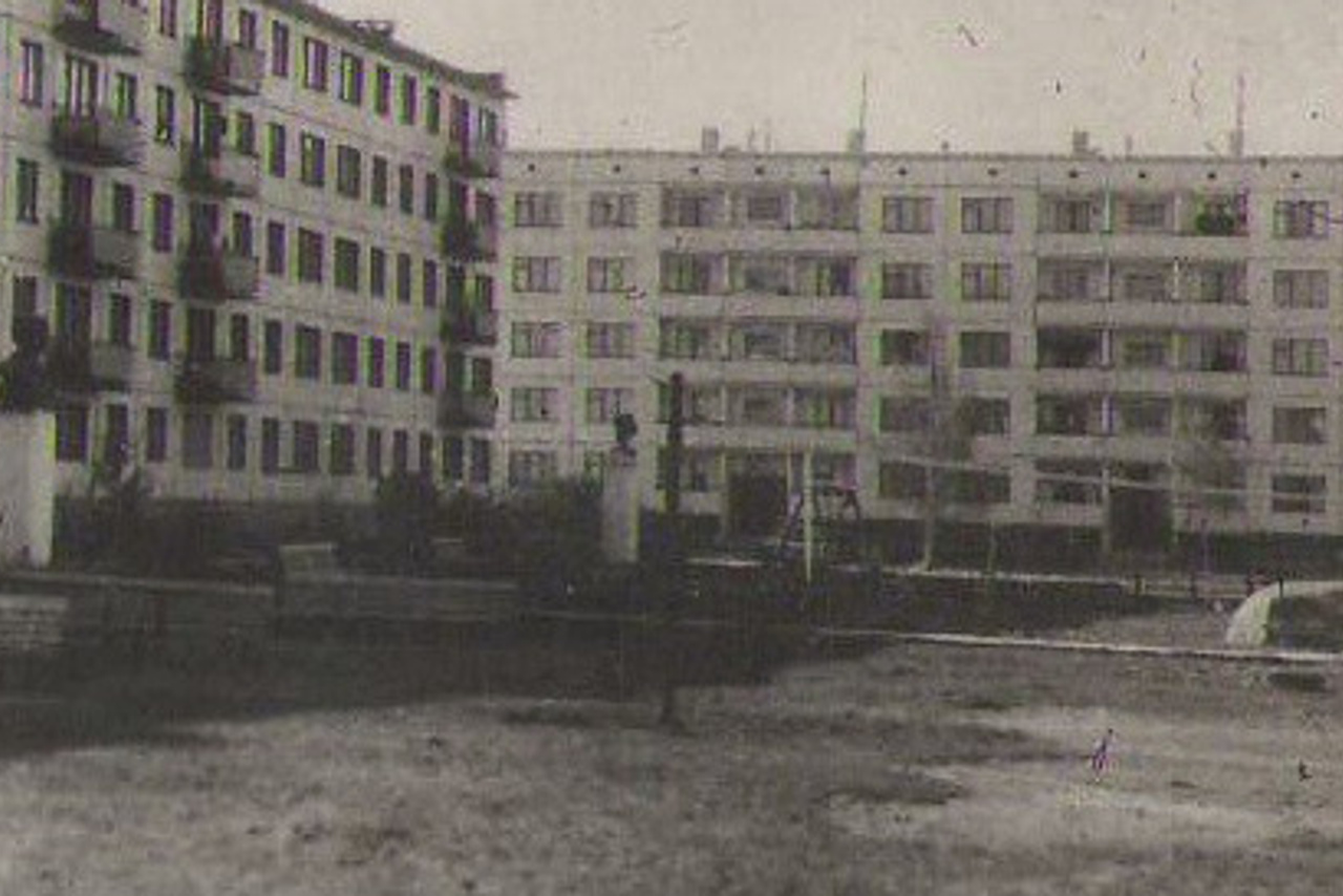 Первомайская демонстрация 1961 г. История Назиевского городского поселения