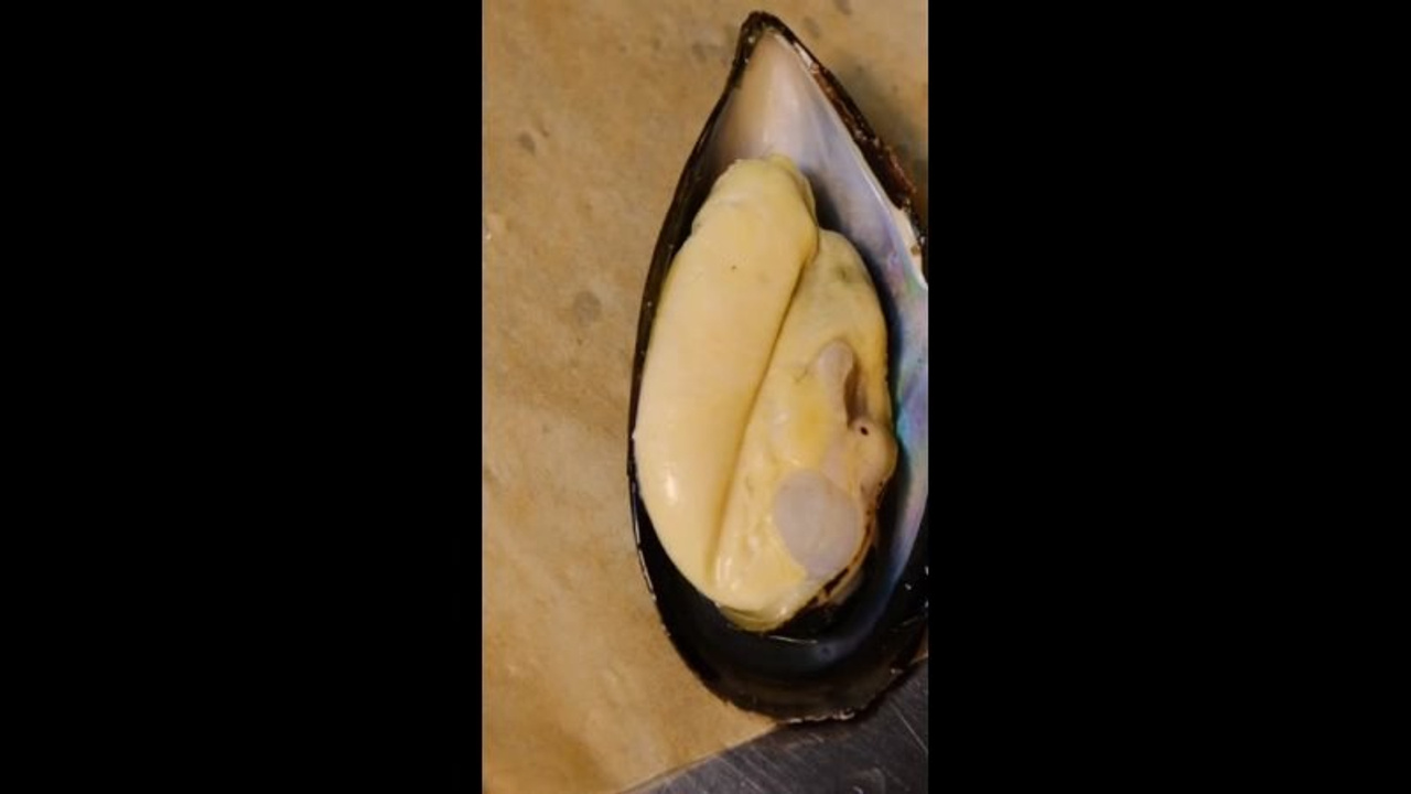 Меню. Фотограф и видеограф Анна Жагорина