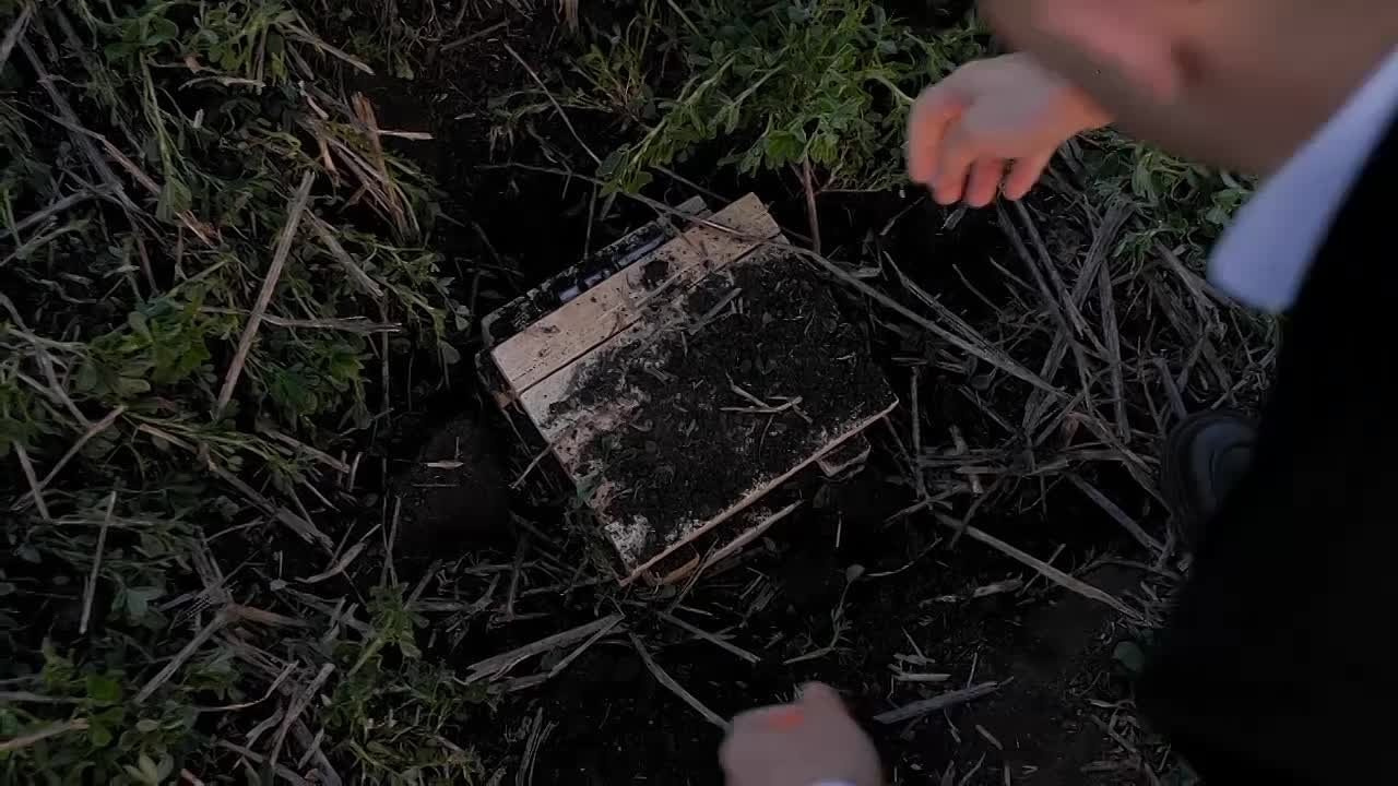 Денис - видеомонтаж и съёмка