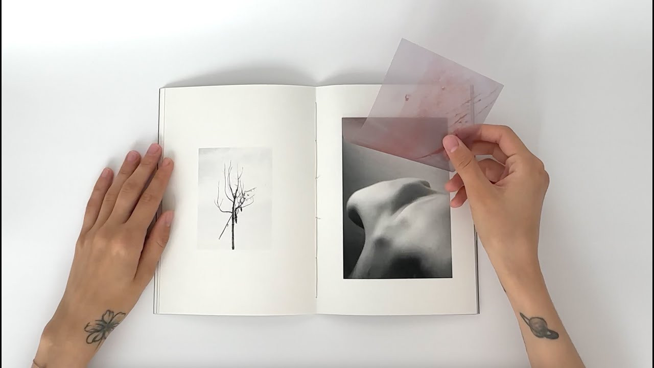 Полюса. Ксения Максимова