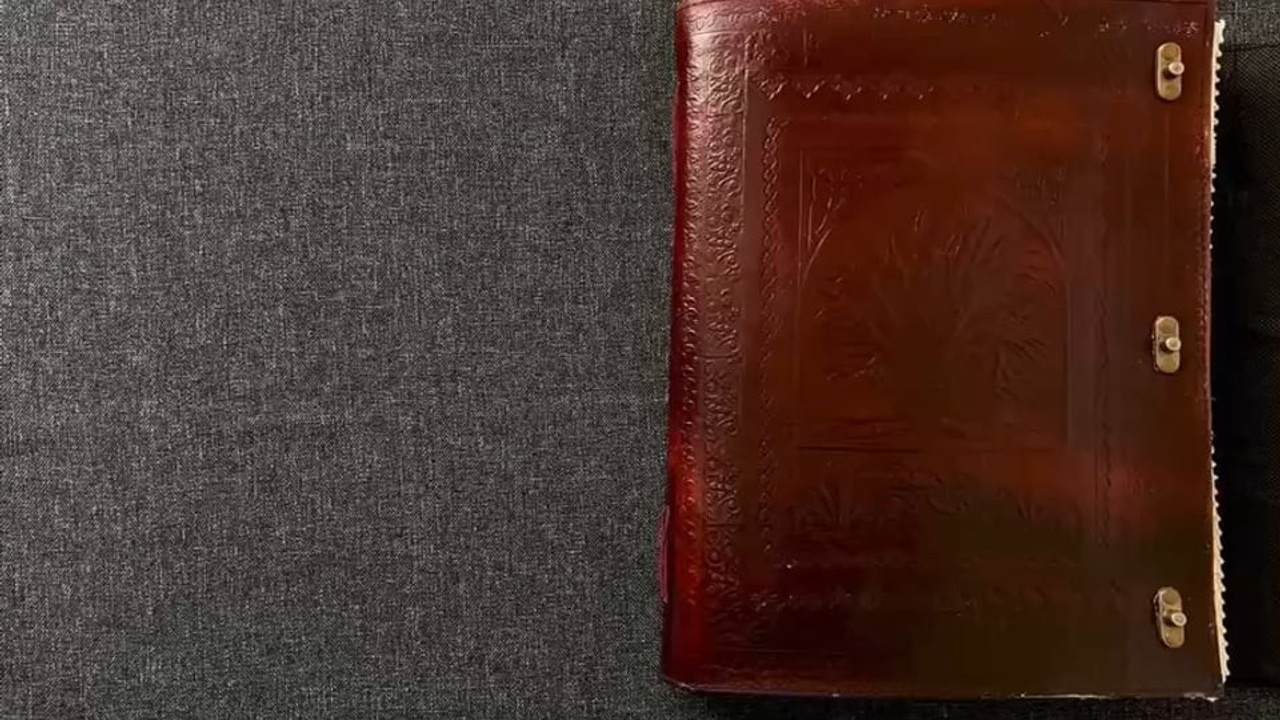 Дом, где жили летние птицы. Междисциплинарный художник Екатерина Старовойтова