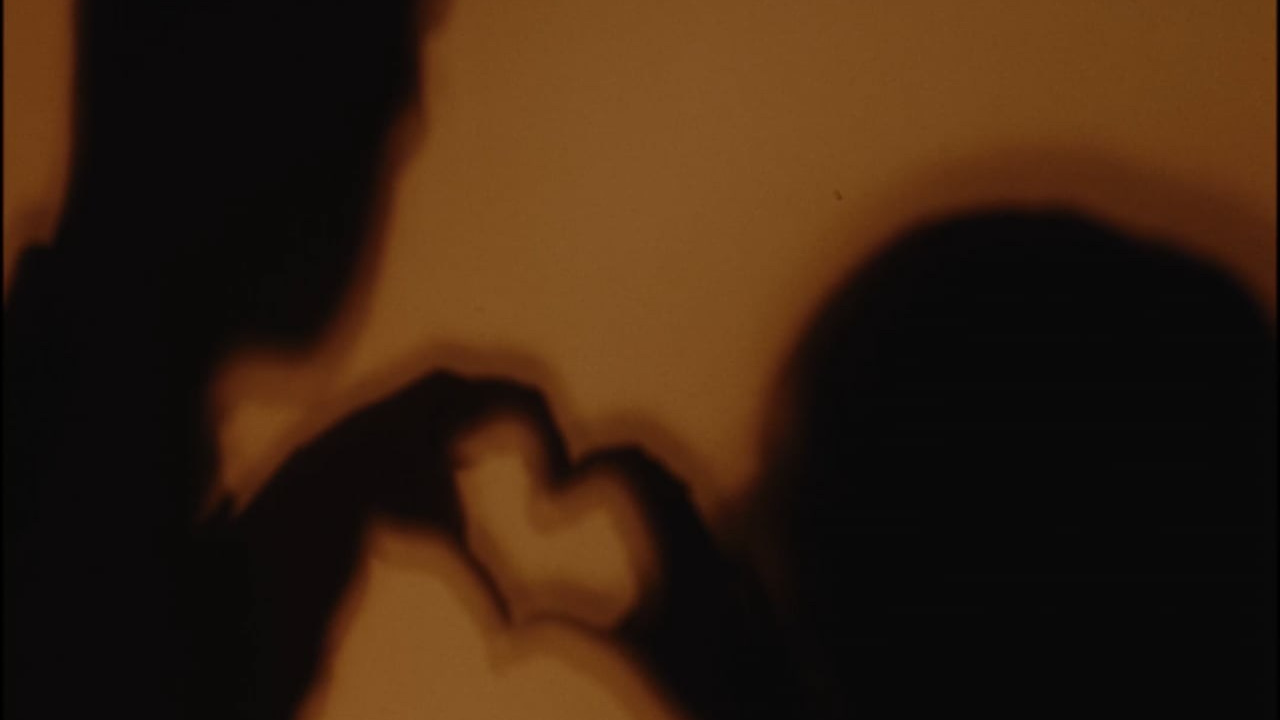 Андрей х Ксения. Видеограф в Новом Уренгое