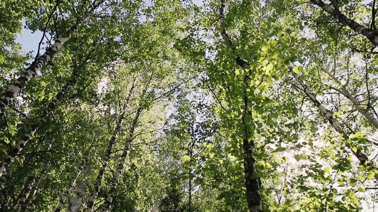 Семейное кино. Фотограф и видеограф Елена Пахомова Москва