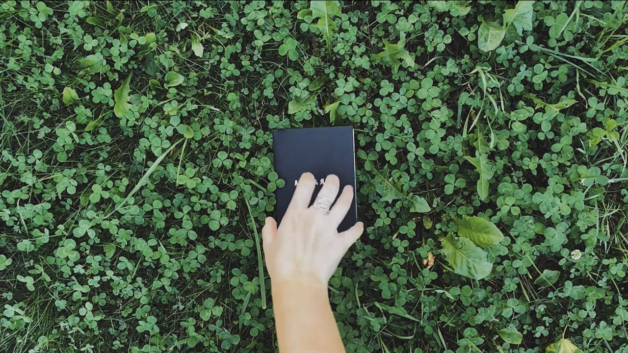 Зин «Лесная, 3». Фотограф и коллажист Ольга Шереметьева