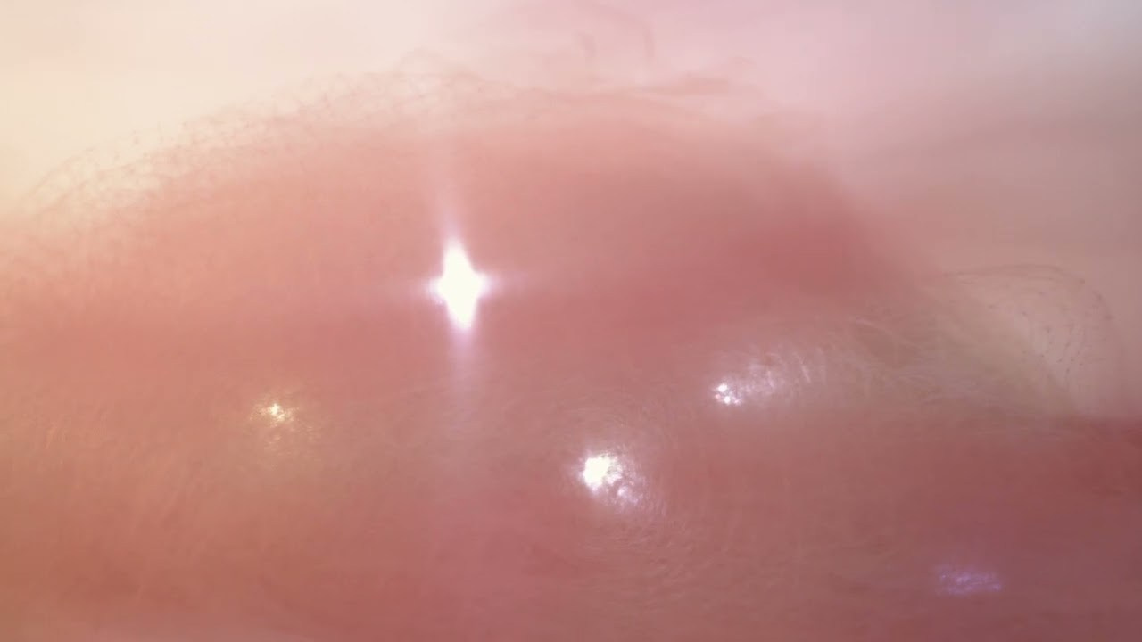 Слишком близко. Художественная фотография в Санкт-Петербурге Алина Берёзкина