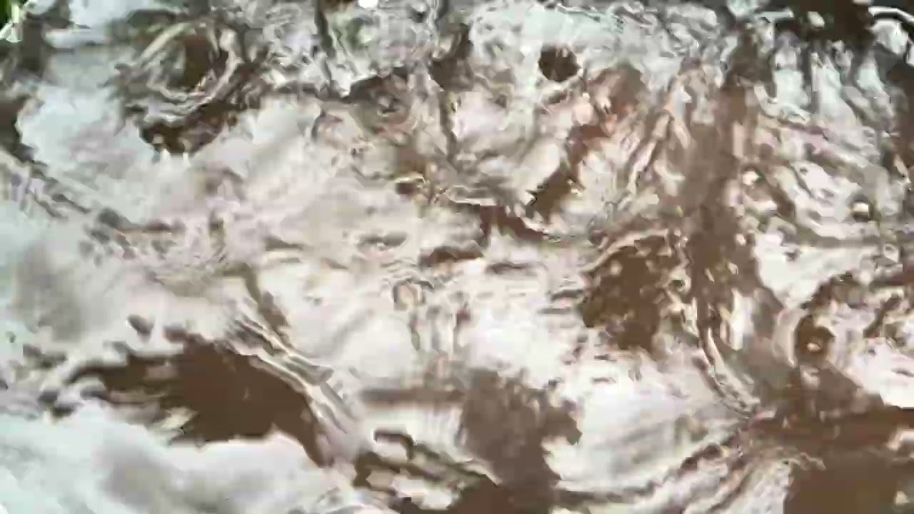Видео инсталляция «Незаметное чувство обреченности.». Лилия Ким. Междисциплинарный художник