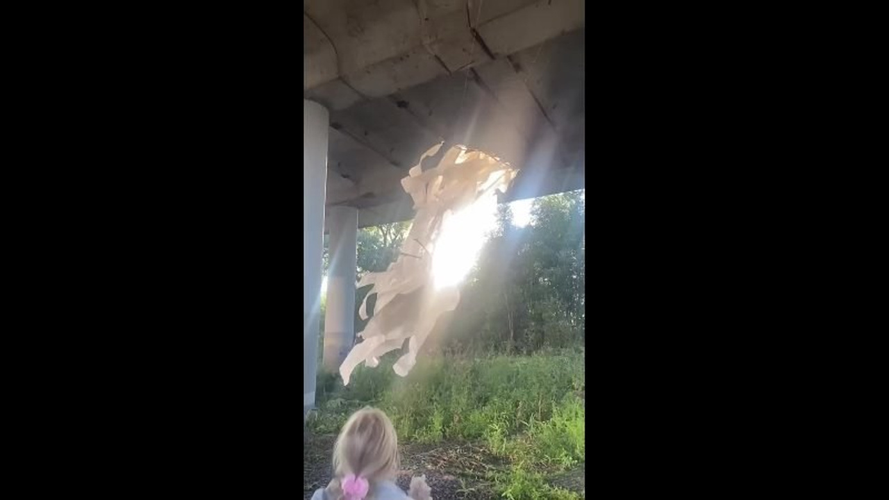 Красненькая биеннале. Санкт-Петербург. Лилия Ким. Междисциплинарный художник