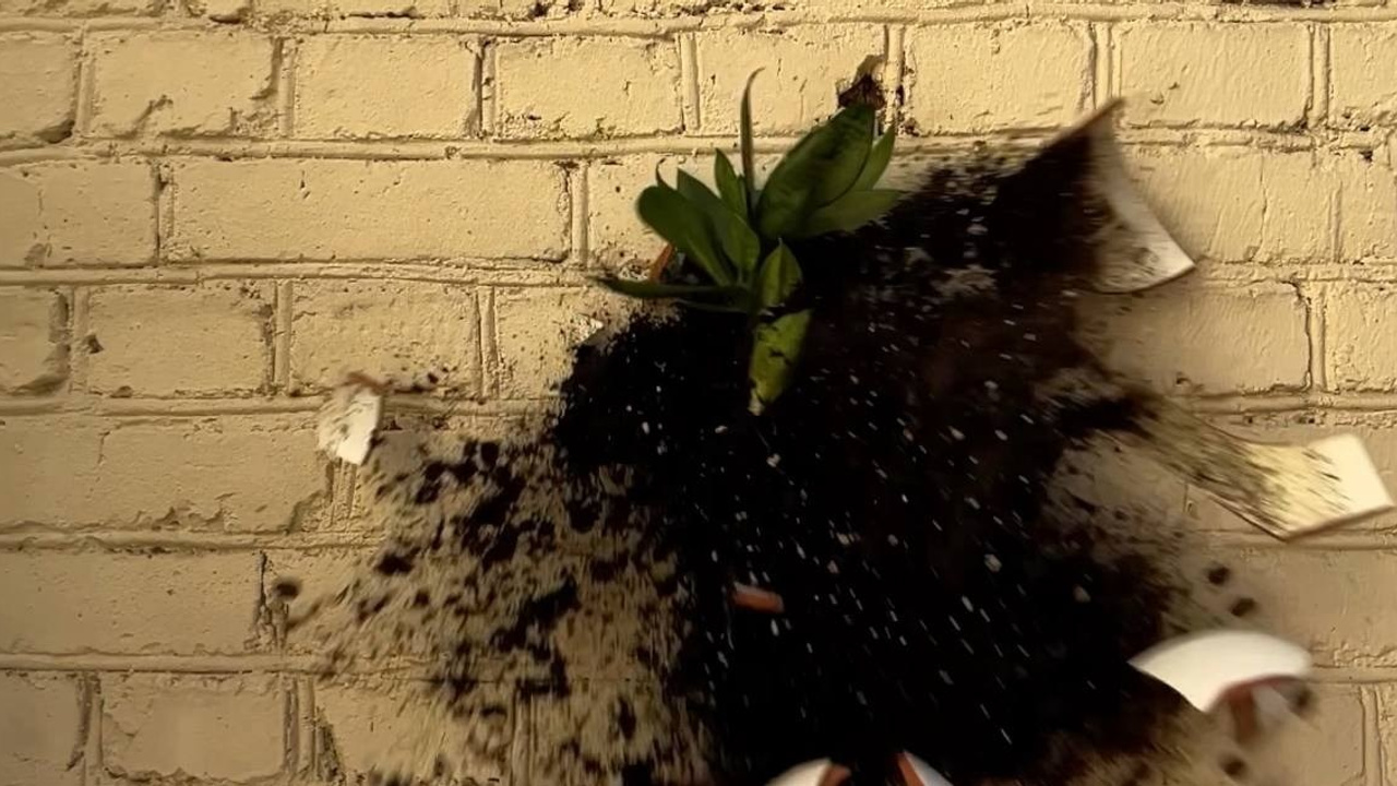 «Чуже Странцы». Лилия Ким. Междисциплинарный художник