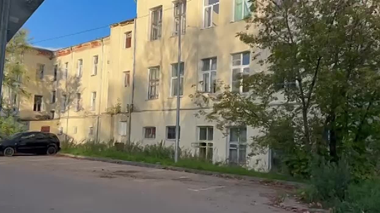 Дагмара Семеновна Евстешина. Лилия Ким. Междисциплинарный художник