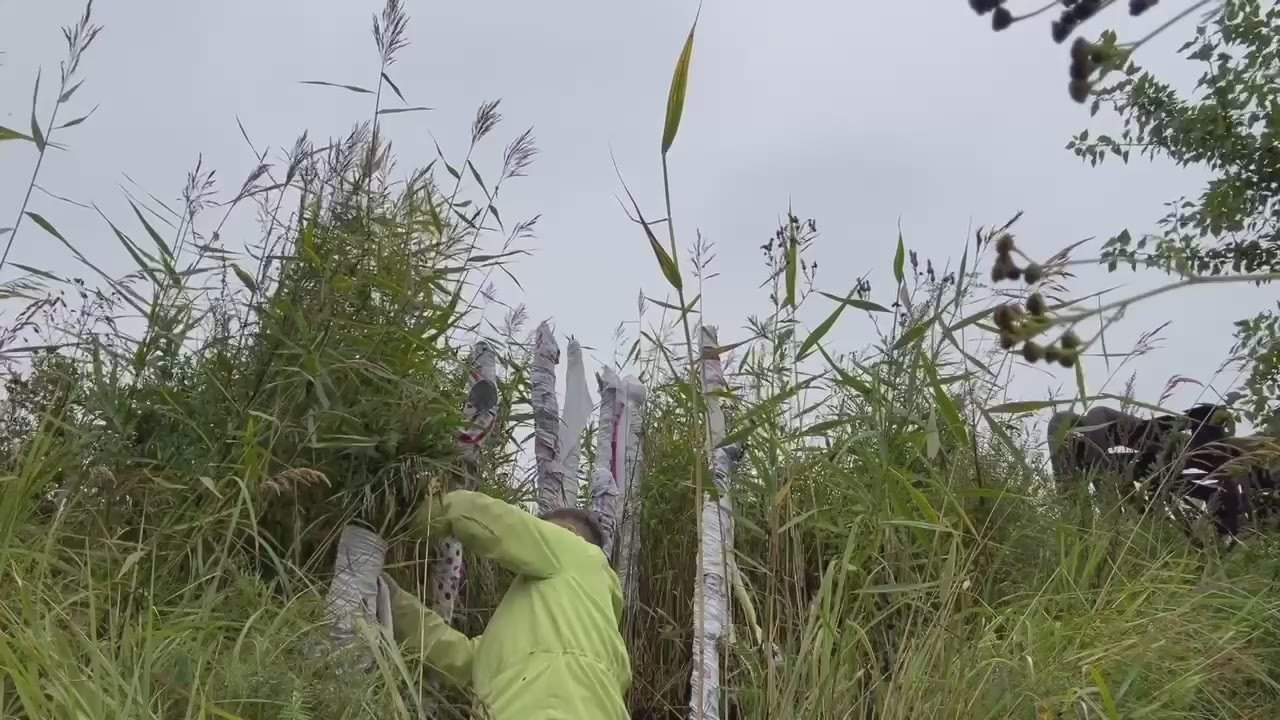 Красненькая биеннале. Санкт-Петербург. Лилия Ким. Междисциплинарный художник