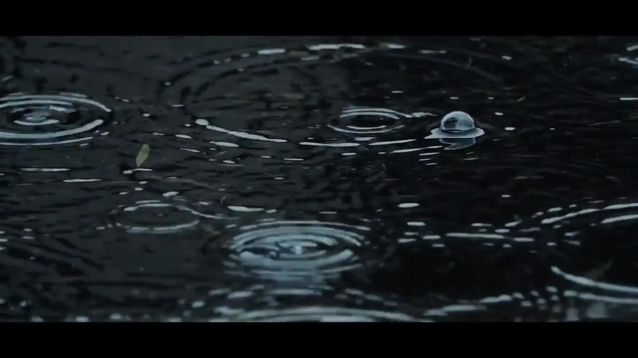 Круги на воде. Дизайнер интерьера Злата Воловая