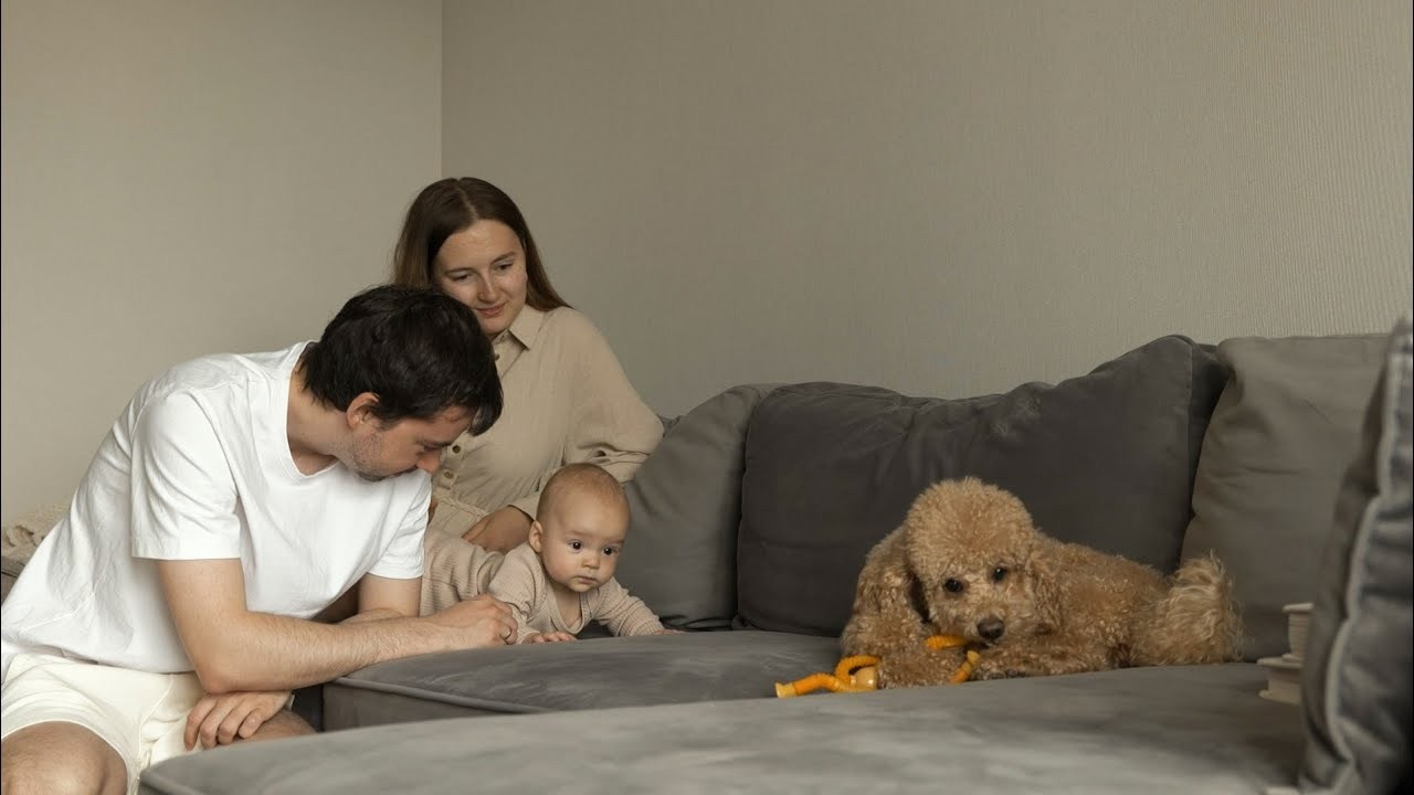 Семейный фильм. Фотограф видеограф Ольга Василевская