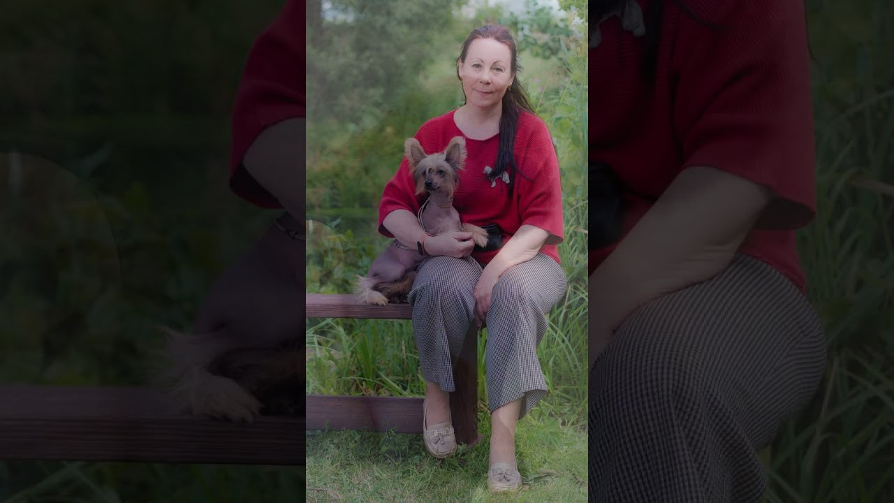 Помёт G. Питомник китайских хохлатых собак Poale Ell: купить щенка