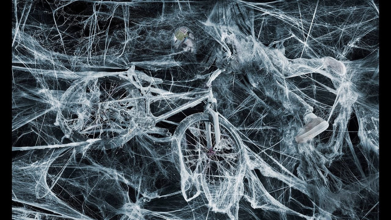 Cobweb. Creative Photographer Denis Klero