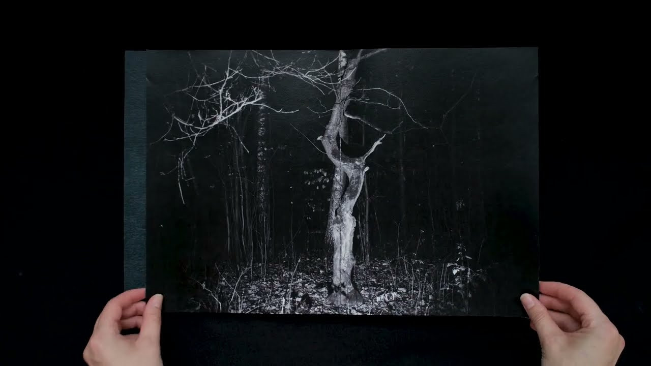 The Cursed Triangle. Viktoria Kovshikova