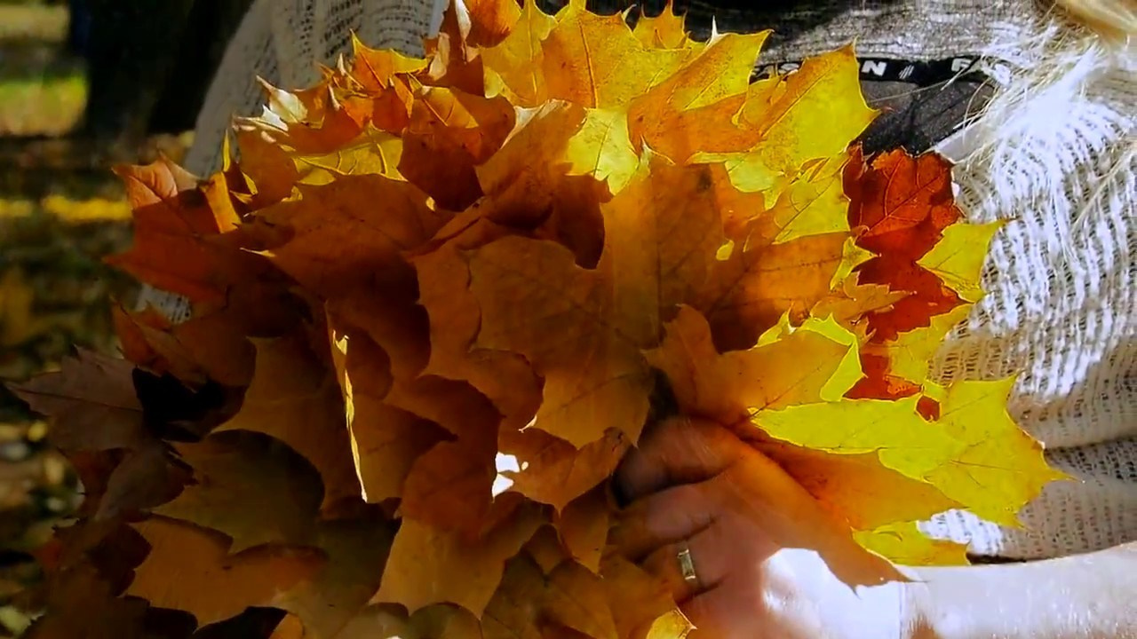 Портретная фотография. Арт студия «Пегас». Фото- и видео- съемка