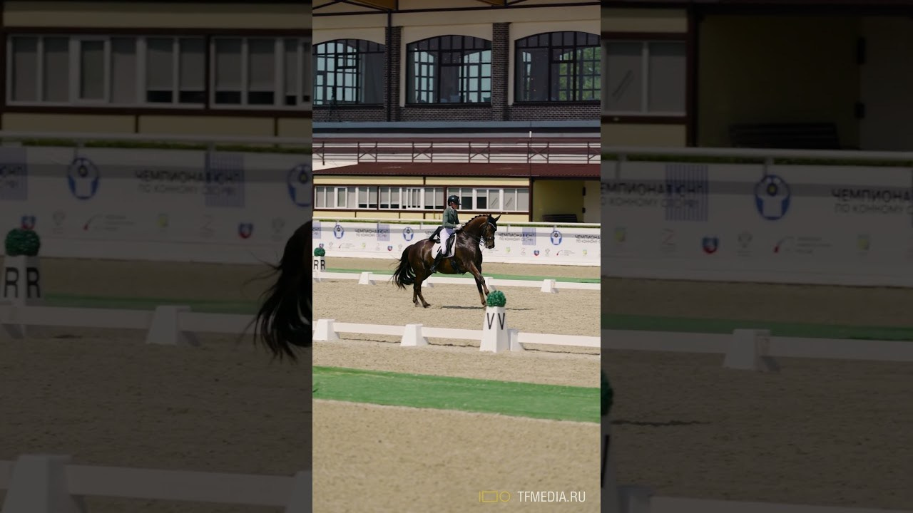 Конный спорт — спортивные видео и фотосъёмка (Москва) — портфолио | TrendFrame. Видеопродакшн в Москве — рекламные и корпоративные видео | TrendFrame