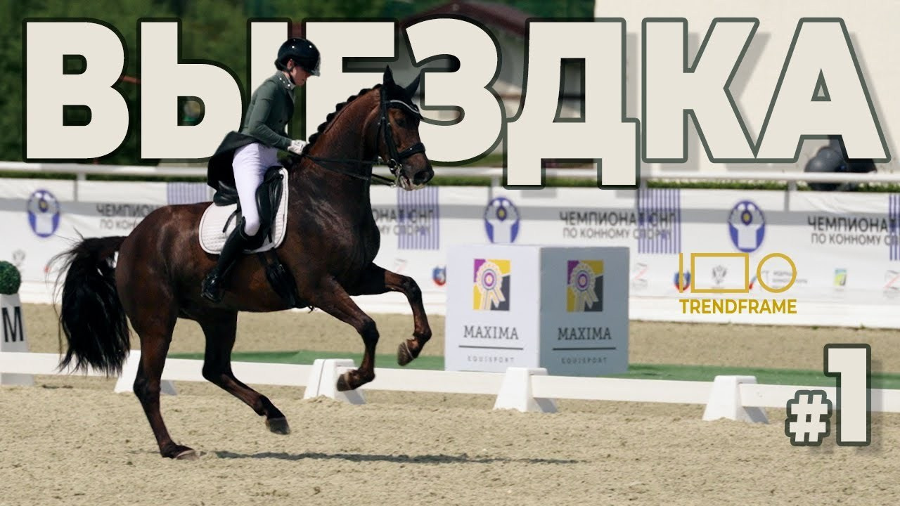 Конный спорт — спортивные видео и фотосъёмка (Москва) — портфолио | TrendFrame. Видеопродакшн в Москве — рекламные и корпоративные видео | TrendFrame
