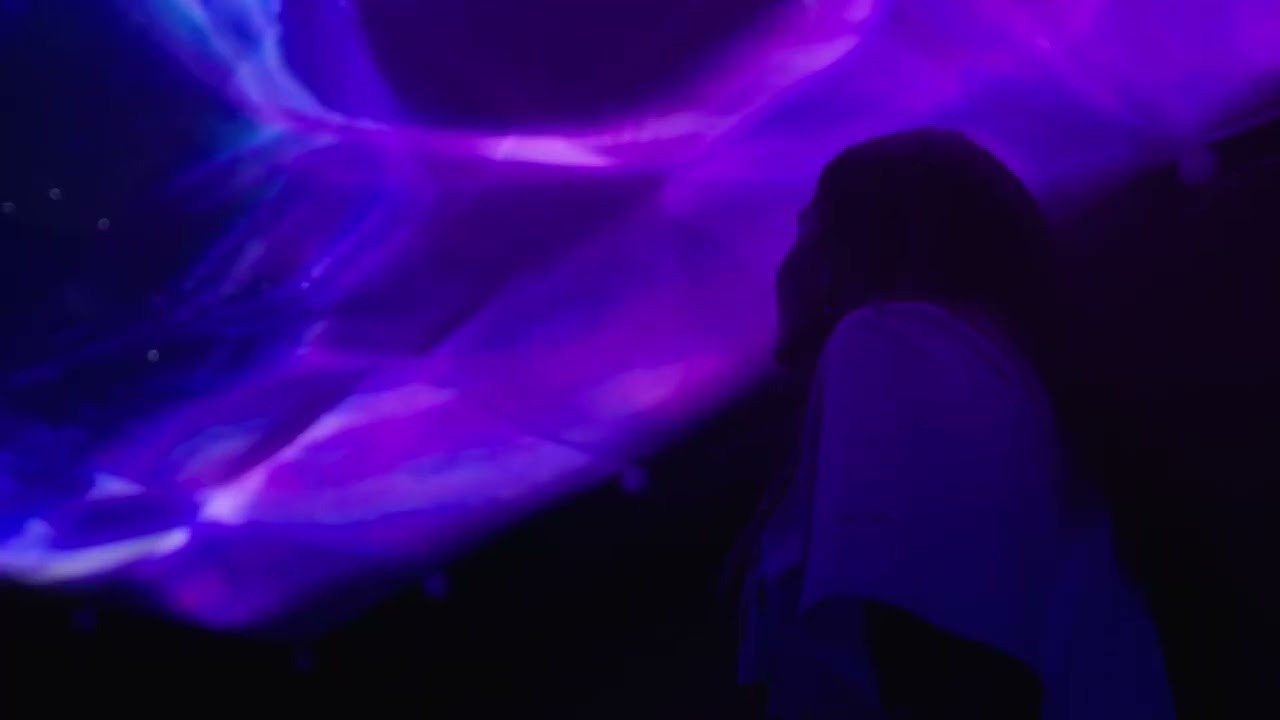 7 интерактивных инсталляций / COP 27. OOPS