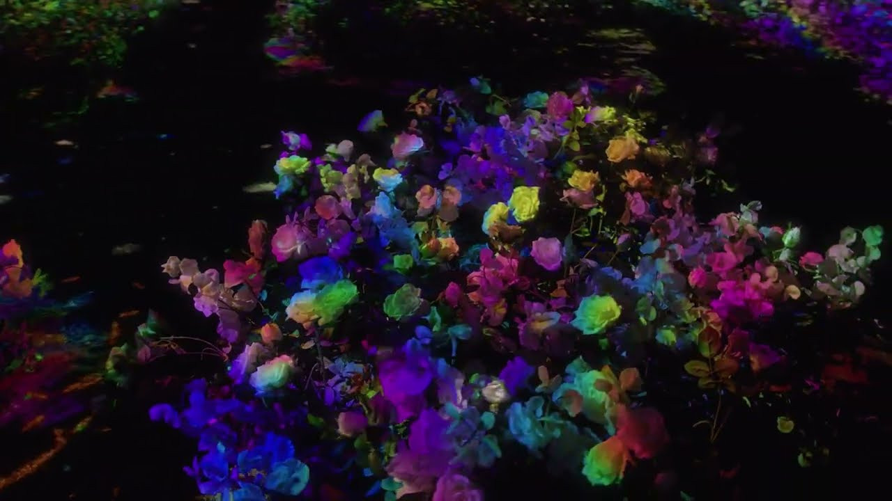 7 интерактивных инсталляций / COP 27. OOPS