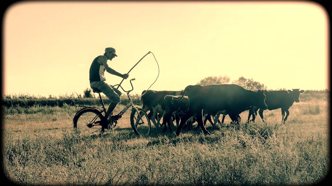 Ветер дует из Макондо (аудиокнига). Наташа Лозинская