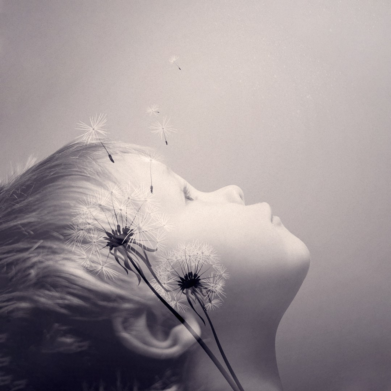 Виртуальная выставка от Орловского областного центра. Фотографы в Орле Шестопаловы Юлия и Юрий