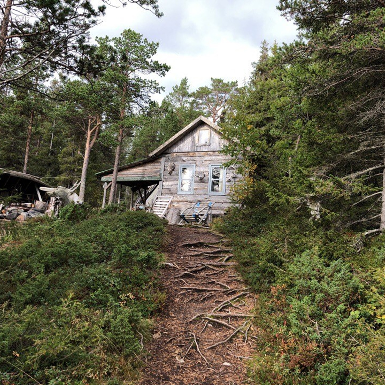 Музыкальная экспедиция на Белое море. Творческий лагерь для взрослых