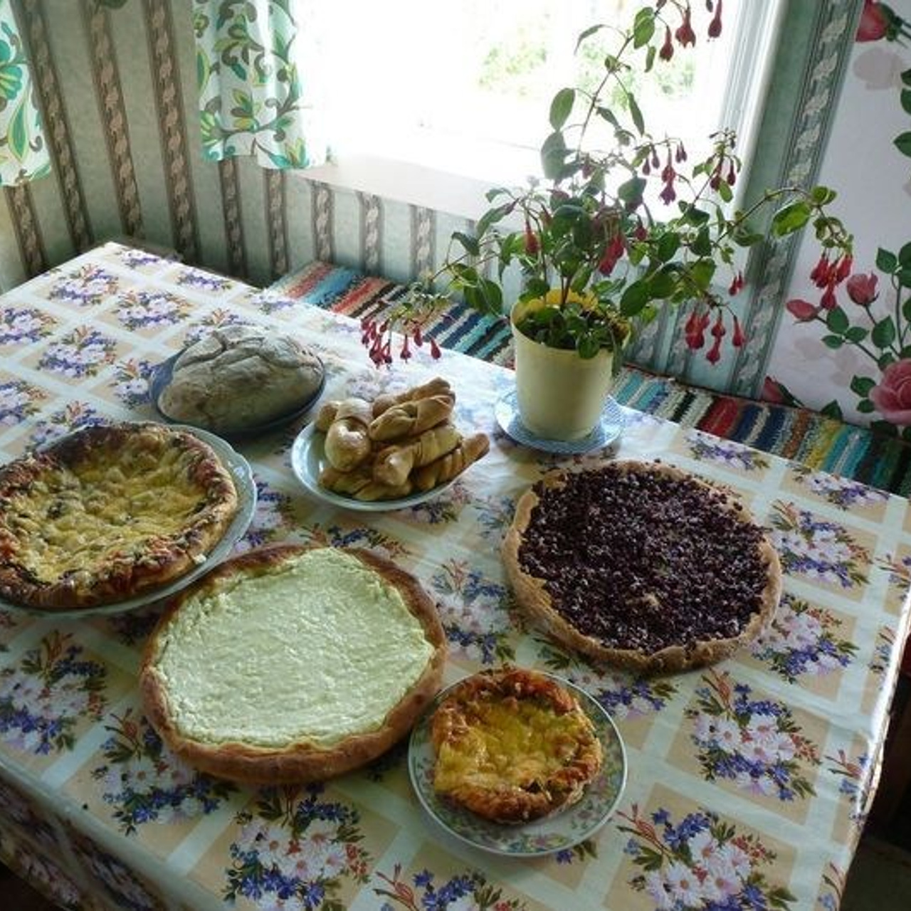 Северный пленер в карельской глуши. Творческий лагерь для взрослых