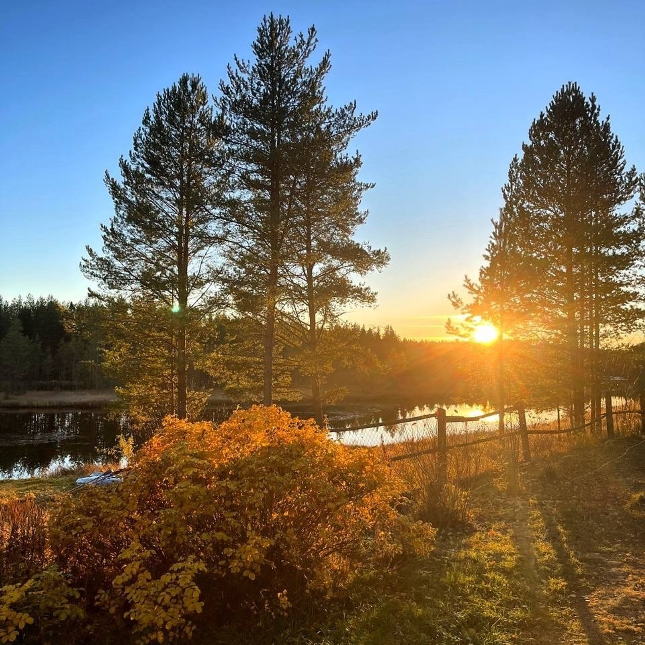 Северный пленер в карельской глуши. Творческий лагерь для взрослых