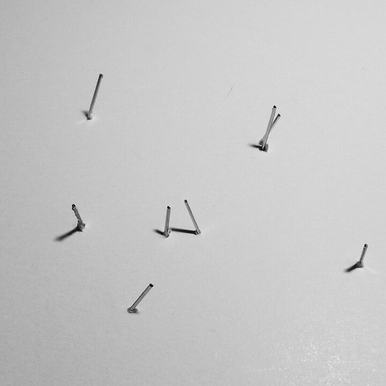 Grass. Elena Slobtseva is a visual multidisciplinary artist