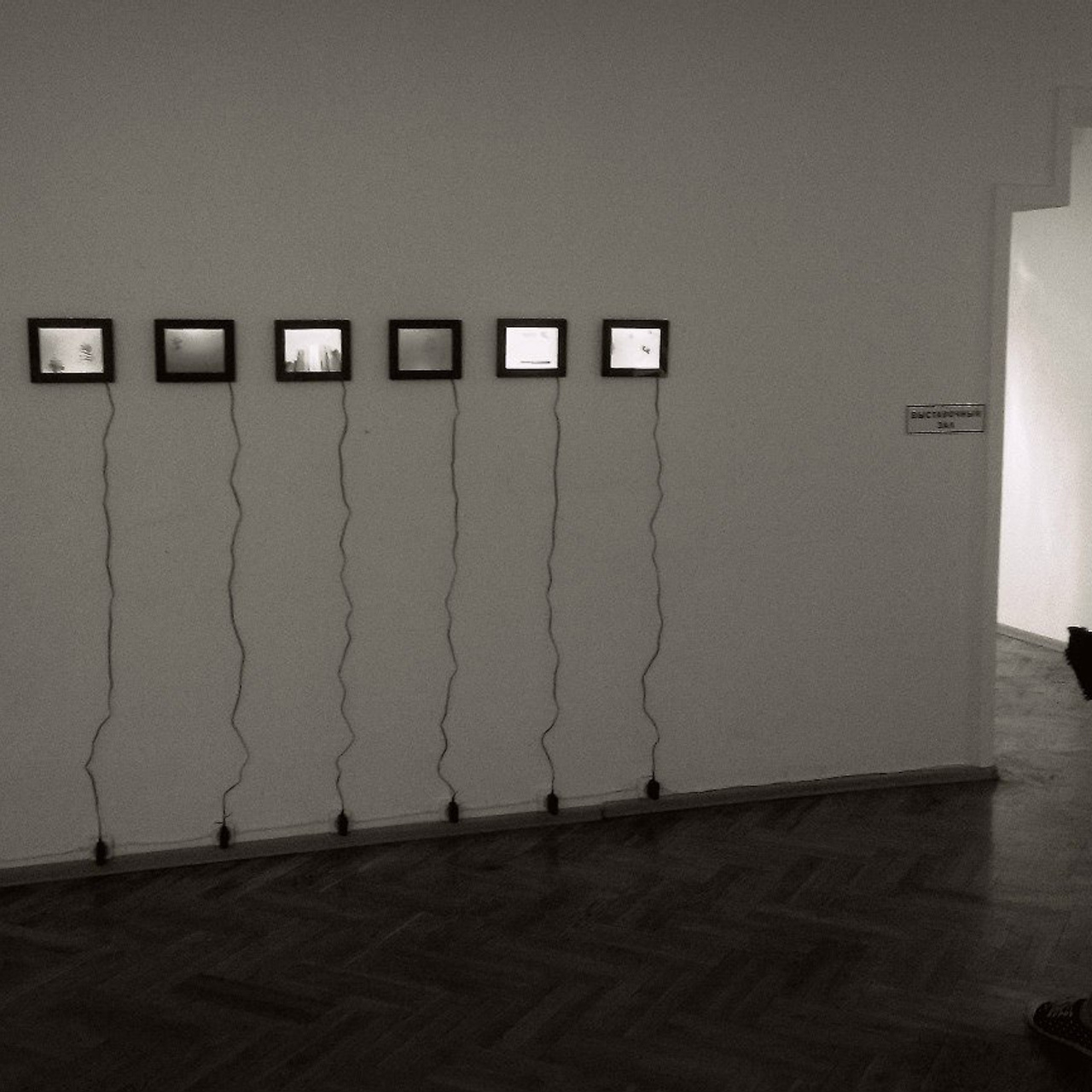 Staples. Elena Slobtseva is a visual multidisciplinary artist