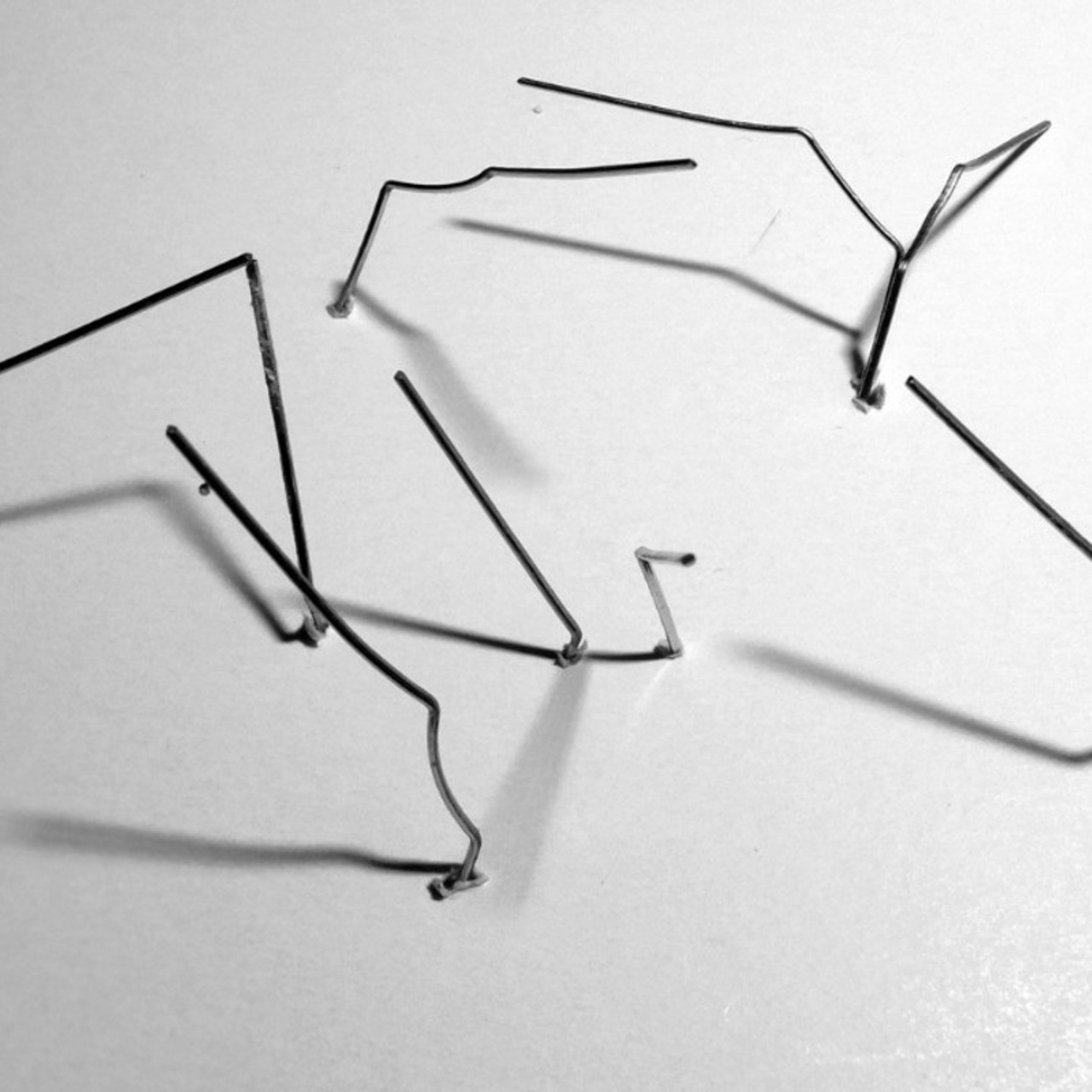 Grass. Elena Slobtseva is a visual multidisciplinary artist