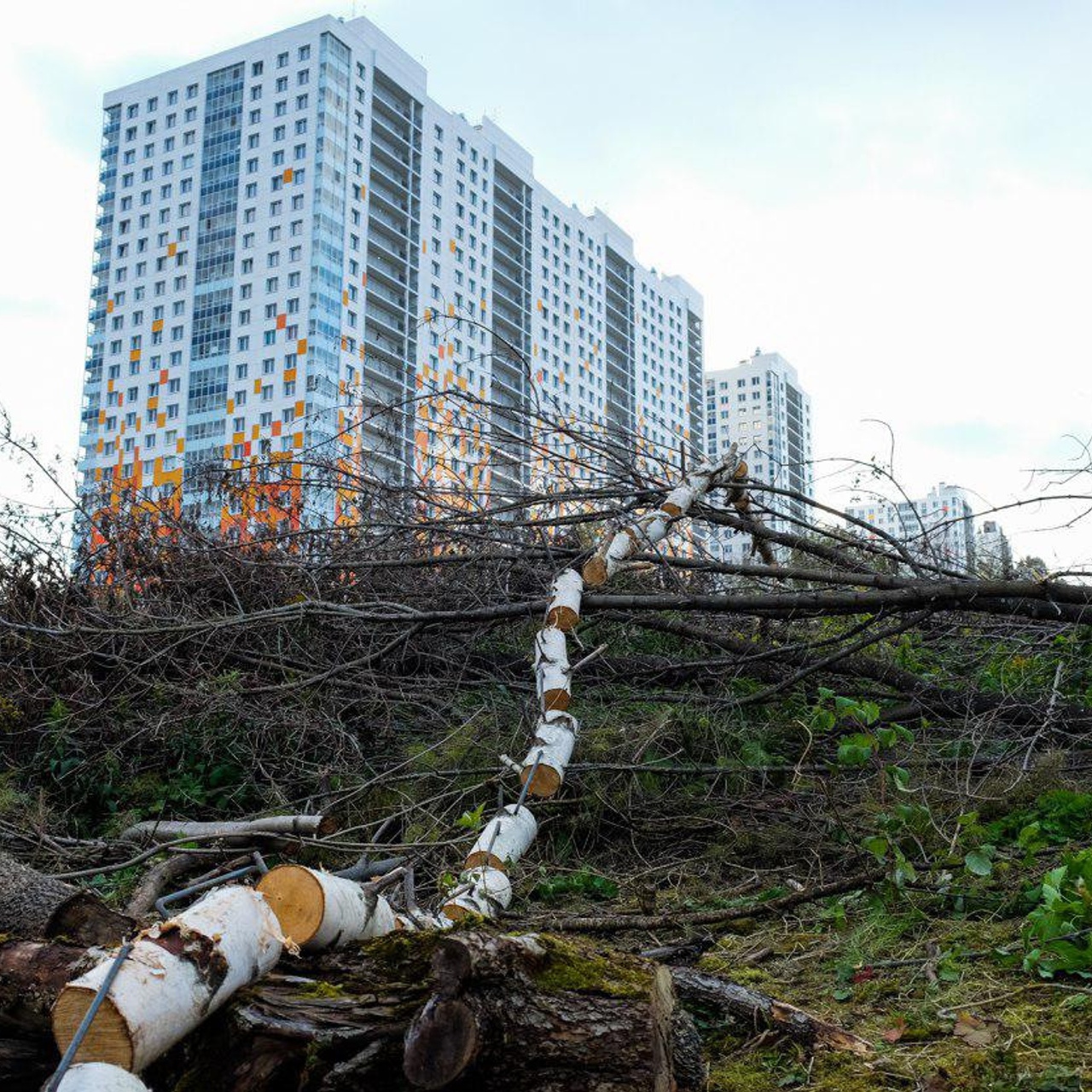 Replay. Elena Slobtseva is a visual multidisciplinary artist