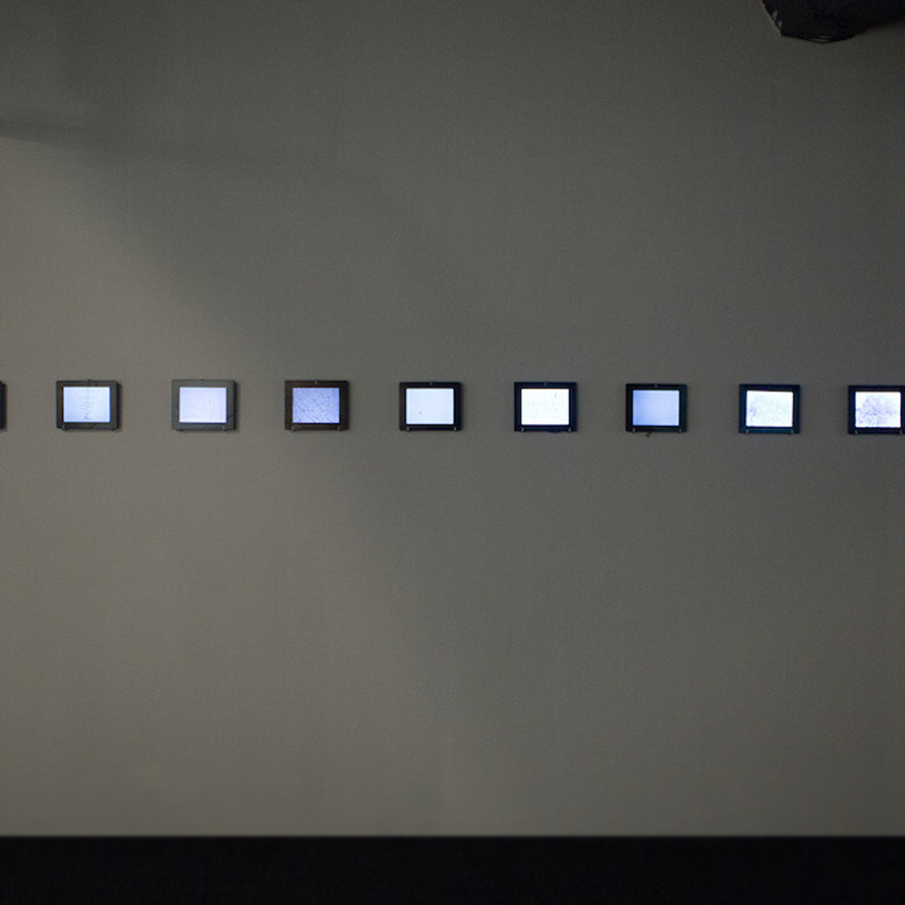 Grass. Elena Slobtseva is a visual multidisciplinary artist